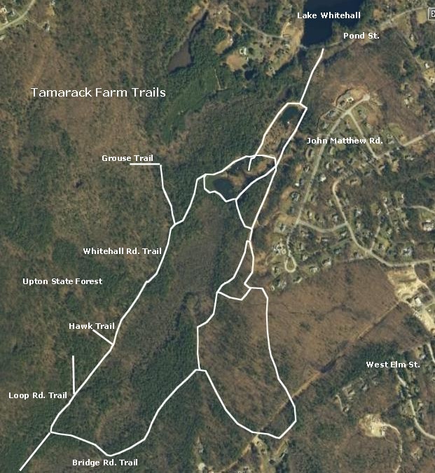 Trails in Hopkinton, Massachusetts